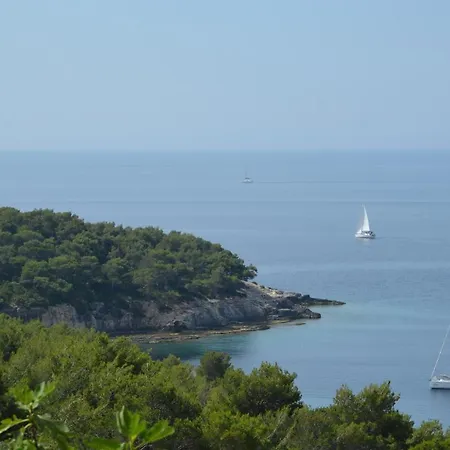 Ana * Rukavac (Vis)